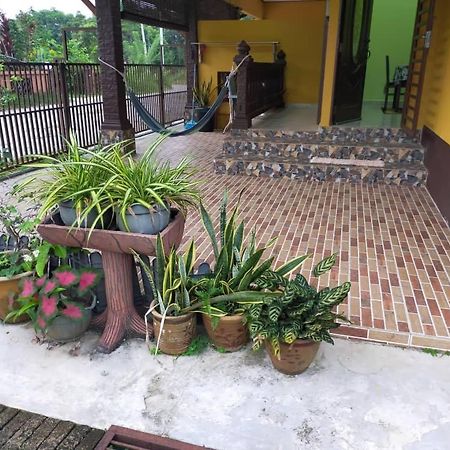 Rumah Tumpangan Di Kuala Terengganu, Terengganu Homestay D Kültér fotó