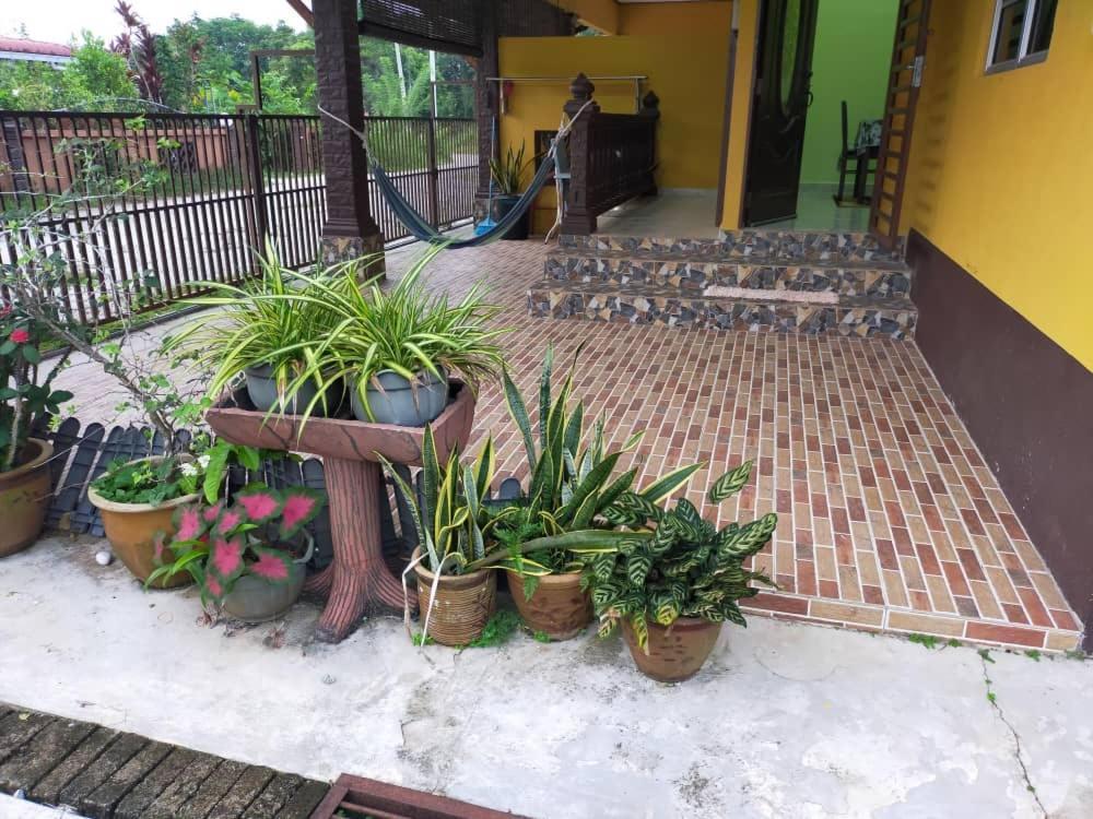 Rumah Tumpangan Di Kuala Terengganu, Terengganu Homestay D Kültér fotó